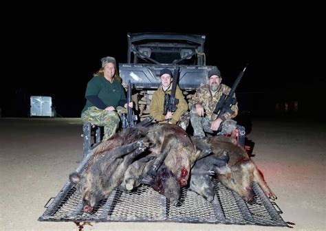 cheapest oklahoma hog hunts